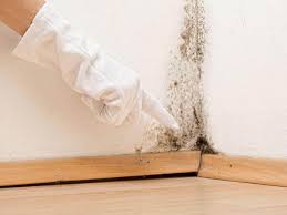 Best Mold Prevention Services  in Valdosta, GA